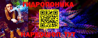 стафф Донецк