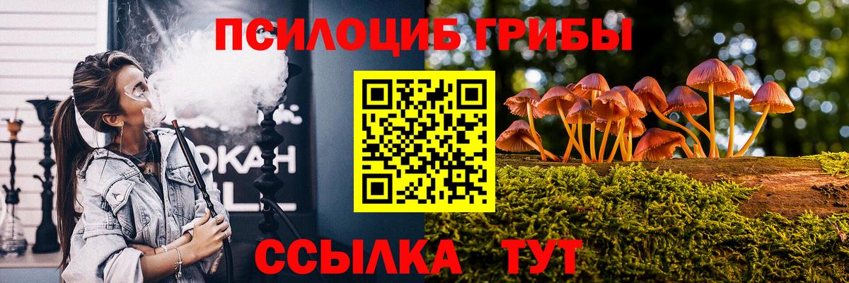 Галлюциногенные грибы Psilocybe Кумертау